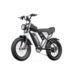 Vélo Électrique Ridstar Q20 - Moteur 750W Batterie 48V20Ah Pneus 20  Freins à Disque Hydrauliques - Noir - Neuf