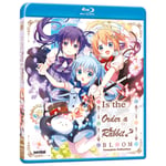 Is The Order A Rabbit? Bloom: Complete Collection (US Import)