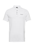 Armani Exchange Polo Shirt Vit