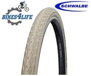 1 Schwalbe Delta Cruiser Plus 26 x 1 3/8 Cream Cycle Tyre & Schrader Tube