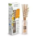 Esteban Paris Diffuseur A Bâtonnet Bouquet 100ML Ambre Et Baumes Parfumeurs