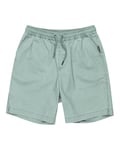 Quiksilver Short Taxer Youth Vert 8