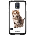 Bjornberry Skal Samsung Galaxy S5/S5 NEO - Söt Kattunge