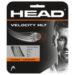 HEAD Velocity MLT Ensemble de Cordes de Tennis Unisexe pour Adulte, Adulte - Mixte, 281404-15 NT, Naturel, 15