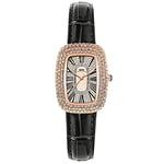 Basfur Dress Watch Fe-Montre-026-02