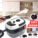 2500W Portable Handheld Steam Cleaner High Temperature Steam Cleaning Machine