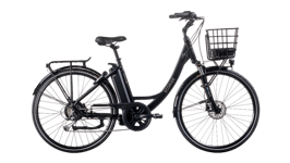 Ecoride Ambassador X AXS H-9