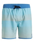 Quiksilver Boardshort SURFSILK Scallop Volley 16 Homme Bleu XS