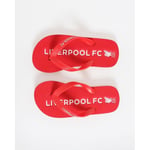 Liverpool Sandal - Rød Barn - Liverpool FC, størrelse 37½