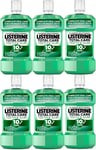 Listerine Mouthwash  Teeth & Gum Defense 250ml x 6