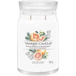 Yankee Candle Signature Large Jar White Spruce & Grapefruit 567g