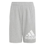 Adidas BL JR SHORTS GREY/WHITE