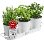 Barnyard Designs Herb Pot Planter Set with Tray for Indoor Garden or Outdoor Use, Decorative White Metal Succulent Potted Planters for Kitchen Windowsill