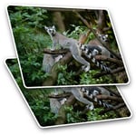 2 x Rectangle Stickers 10 cm - Cool Tailed Lemur Madagascar #12667