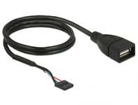 DELOCK – Cable USB 2.0 pin header female to 1 x USB 2.0 Type-A female 60 cm (85671)