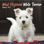 West Highland White Terrier Puppies Square Mini Calendar 2025 (häftad, eng)