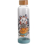 DISNEY - Water Bottle Glass 500Ml -  The Aristocats - New Water Bott - T600z