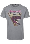 Urban Classics Jurassic Park Pink Rock Tee (heather grey,S)