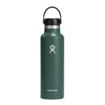 Hydro Flask - Standard Mouth Flex Termospullo 0,621 L Fir