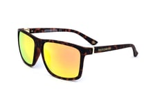 Lunettes de Soleil Skechers SE6046 52U  HAVANA 58/14/140 Homme