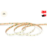 LightMore High-Lumen LED strip 10M 9,6W/meter 4000K