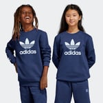 adidas Rekive Crew Sweatshirt Kids