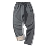 XiuLi Pantalon en Laine Chaud Hommes décontracté vêtements de Sport en Vrac survêtement Pantalons de survêtement Pantalons de survêtement Hommes Jogger Grande Taille (Color : Gray, Size : XL)