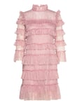 Malina Carmine Frill Mini Lace Dress Rosa