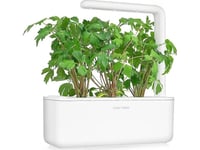 Click And Grow Click & Grow Smart Garden Refill Lovage 3Pcs