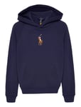 Big Pony Fleece Hoodie Tops Sweat-shirts & Hoodies Hoodies Blue Ralph Lauren Kids