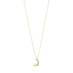 PILGRIM Remy Halsband Guld 672412801