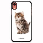 Bjornberry Skal iPhone XR - Söt Kattunge