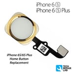 NEW iPhone 6S/6S Plus Home Button Flex Cable Replacement  w/Gasket- Gold/White