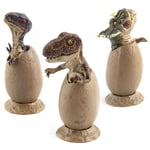 Mini ¿Uf De Dinosaure À Couver 3 Pièces/Ensemble, Jouet Pour Enfants En Pleine Croissance, Figurine D'action Pour Bébé, Jouets Éducatifs Précoces Pour Enfants, Cadeaux