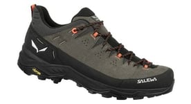 Salewa Alp Trainer 2 - homme