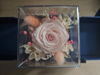 Preserved Rose Gift Box for Her on Birthday, Anniversary, Christmas, Valentine