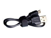 Energy - Câble USB - mini USB type B (M) pour USB (M) - USB 2.0 - 12 cm