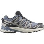 Salomon Men's XA Pro 3D V9 GORE-TEX Flint Stone/Black/Ghost Gray, 40 2/3