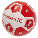 Liverpool FC Hex Size 3 Football Fan Official Merchandise Xmas Birthday Gift