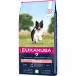 Eukanuba Dog Senior Small & Medium Breed Lamb & Rice (12 kg)