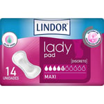 lindor lady pad maxi, 14 kpl.