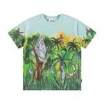 Molo Roxo Short Sleeve T-Shirt Jungle Visitors | Blå | 110 cm