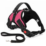 Musonic No Pull Dog Harness Breathable Adjustable Comfort Free Lead Included for Small Medium Large Dog Best for Training Walking XL Pink