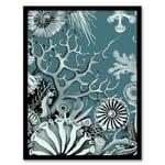 Artery8 Coral Reef Life Aquatic Blue Landscape Design Bathroom Artwork Framed Wall Art Print 18X24 Inch