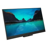 17.3 Inch Monitor Hd 2K 2560X1440 165Hz Hd Multimedia Interface Type C Wa