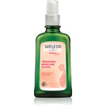 Weleda Pregnancy growth oil for stretch marks oil to treat stretch marks 10 ml