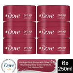 Dove Pro Age Body Butter Nourishing Body Care+Moisture with Olive Oil, 6x250ml