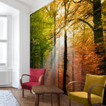 apalis Papier peint intissé Morning Light Papier peint photo, carrés, multicolore, 98508, 288 x 288 cm