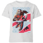 Marvel Avengers AntMan And Wasp Collage Kids' T-Shirt - Grey - 5-6 Years