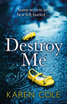 Destroy Me - A twisty and addictive psychological thriller that will keep you gripped